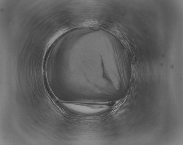 X0000066510196200604071535