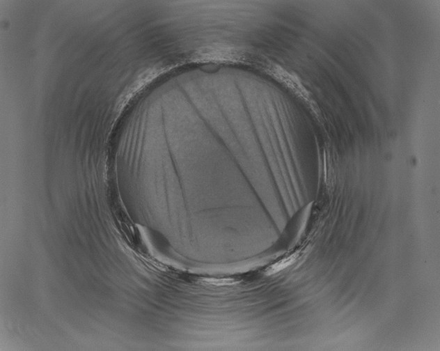 X0000066510204200604071535
