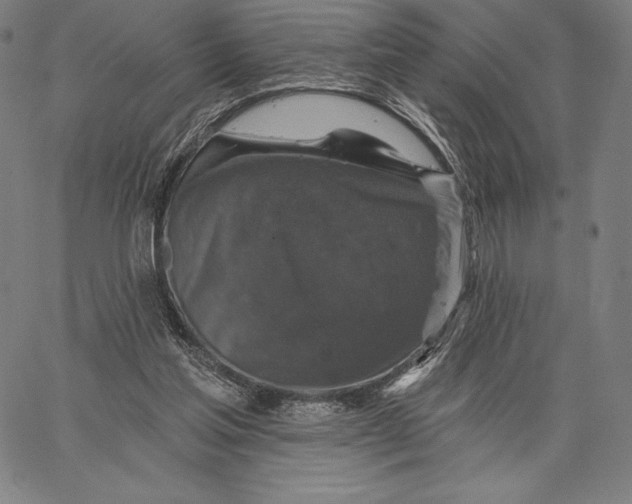 X0000066510205200604071535