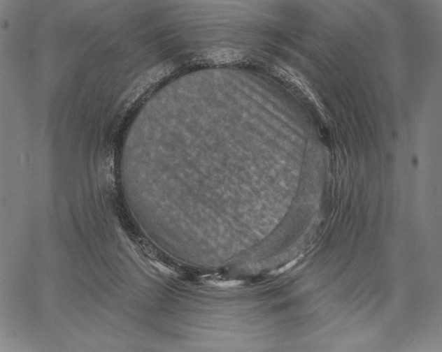 X0000066510212200604071535