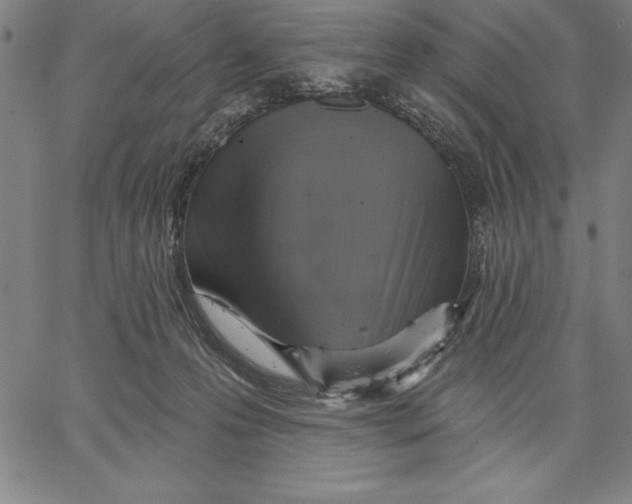 X0000066510223200604071535