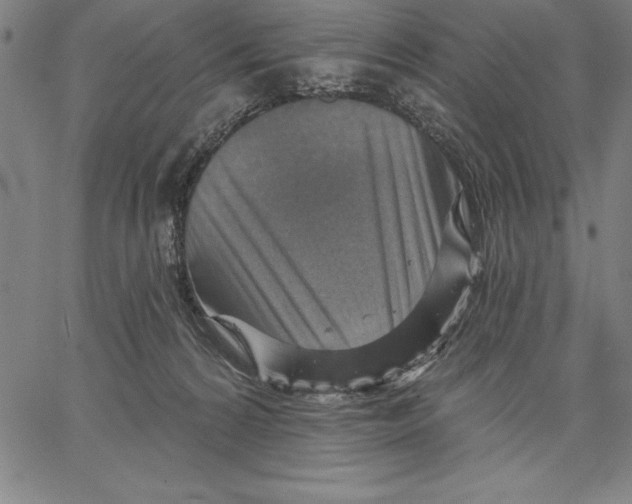 X0000066510224200604071535