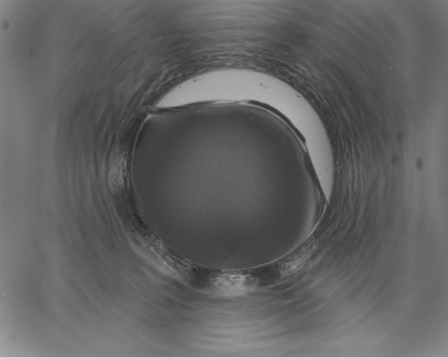 X0000066510227200604071535