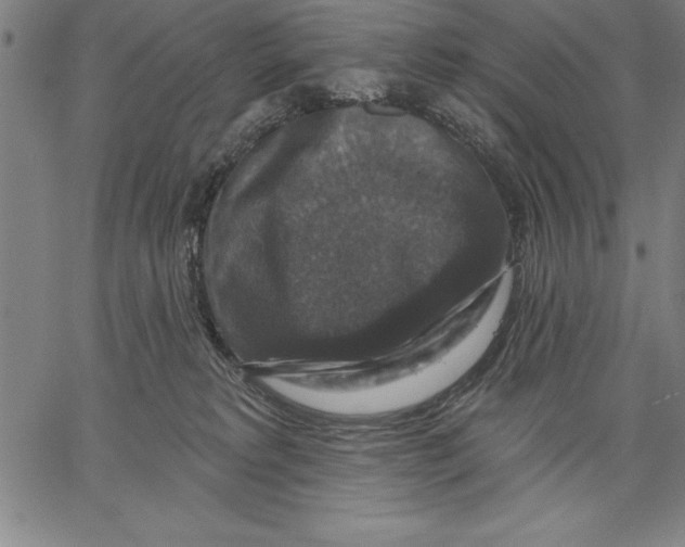 X0000066510229200604071535