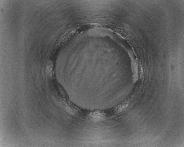 X0000066510231200604071535