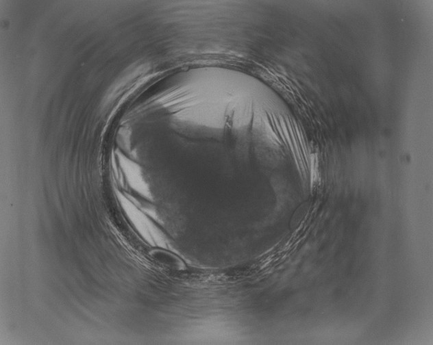 X0000066510243200604071534