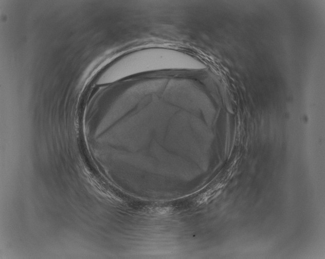 X0000066510247200604071534