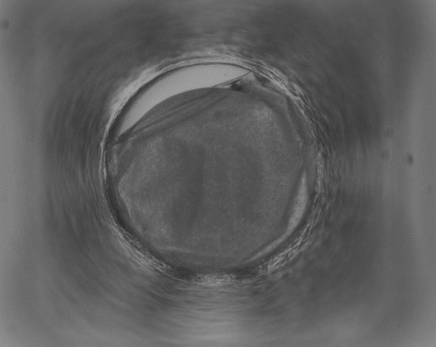 X0000066510248200604071534