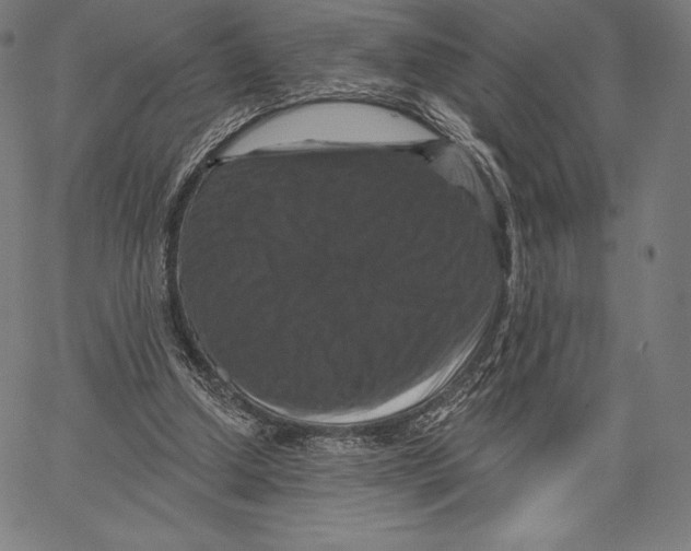 X0000066510250200604071534