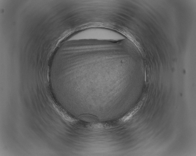 X0000066510253200604071534