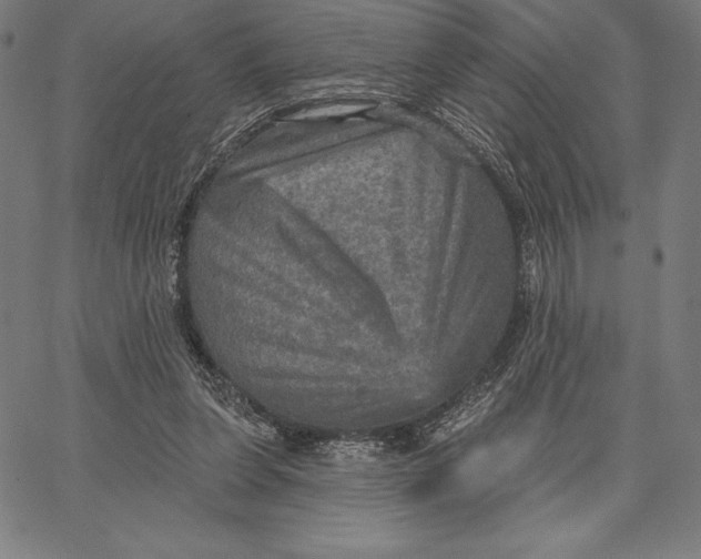 X0000066510255200604071534