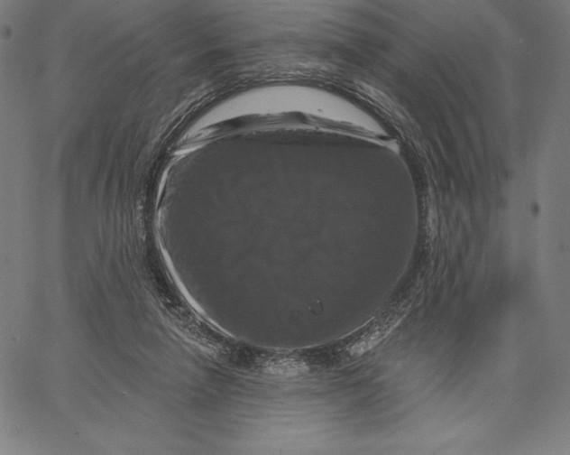 X0000066510258200604071534