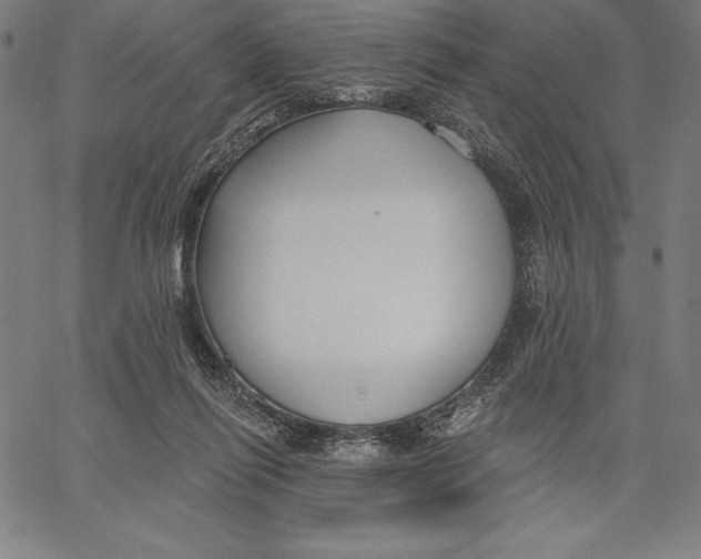 X0000066510262200604071534
