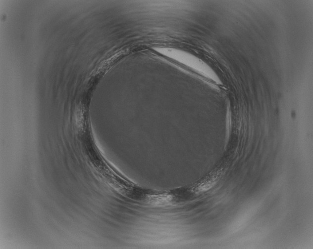X0000066510266200604071534