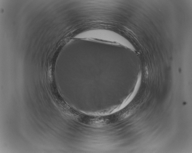 X0000066510267200604071534