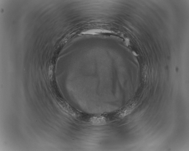X0000066510271200604071534