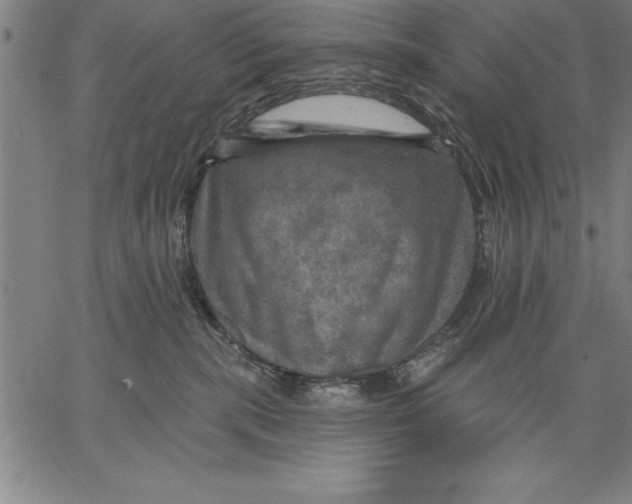 X0000066510283200604071535