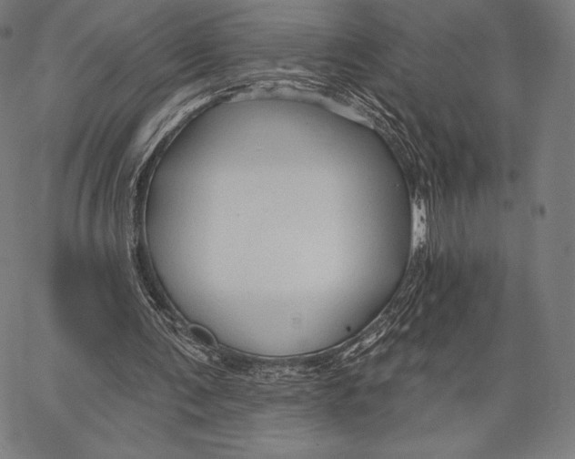 X0000066510291200604071534