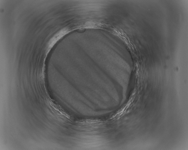 X0000066510292200604071534
