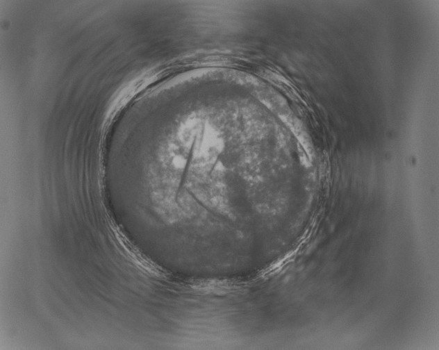 X0000066510293200604071534