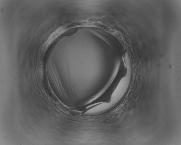 X0000066510295200604071534
