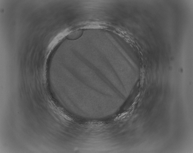 X0000066510296200604071534