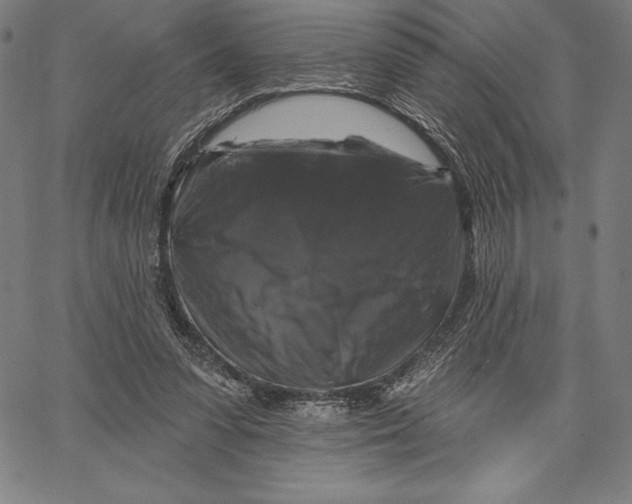 X0000066510303200604071534