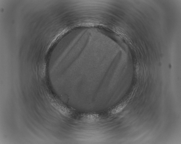 X0000066510304200604071534