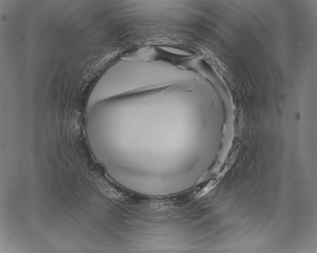 X0000066510305200604071534