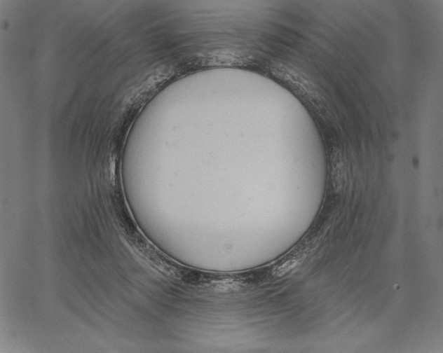X0000066510310200604071533