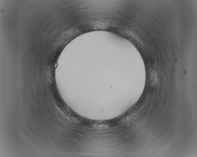 X0000066510311200604071533