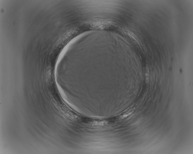X0000066510314200604071533