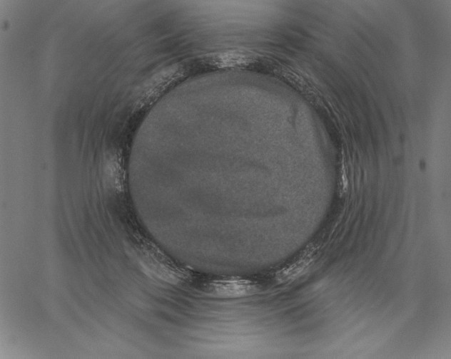 X0000066510316200604071533