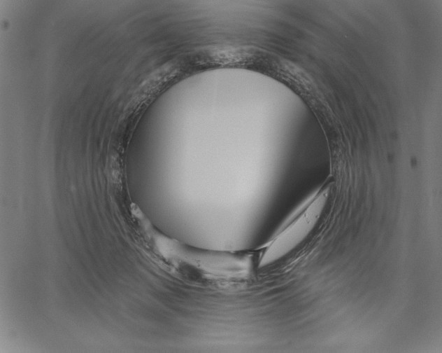 X0000066510317200604071533