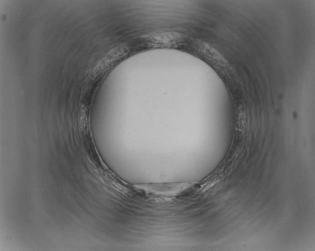 X0000066510318200604071533