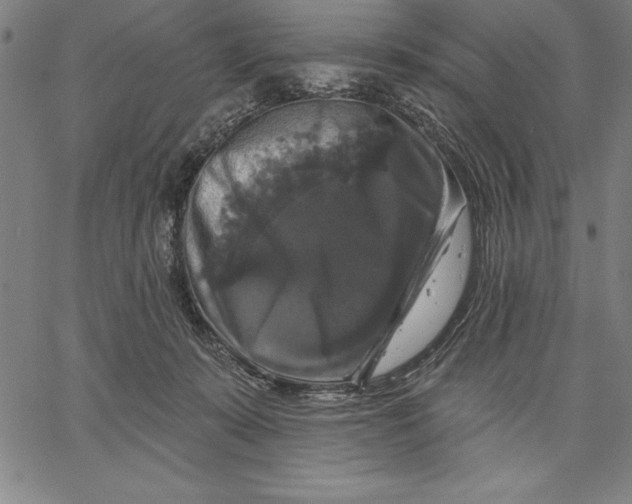 X0000066510319200604071533
