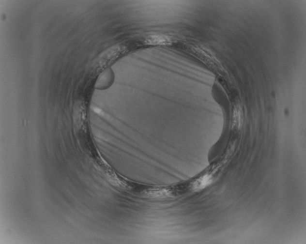 X0000066510322200604071533