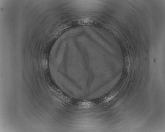 X0000066510324200604071533