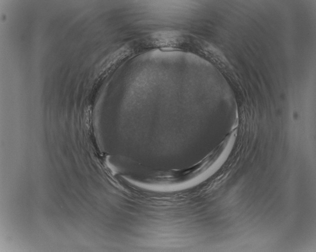 X0000066510325200604071533