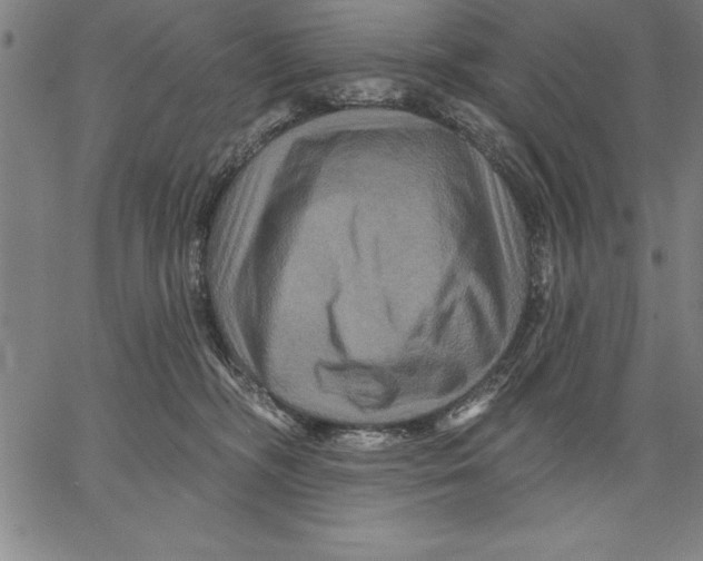 X0000066510326200604071533