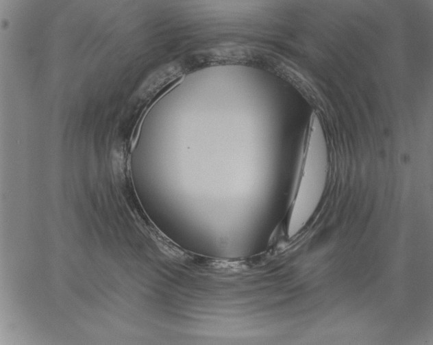 X0000066510333200604071533