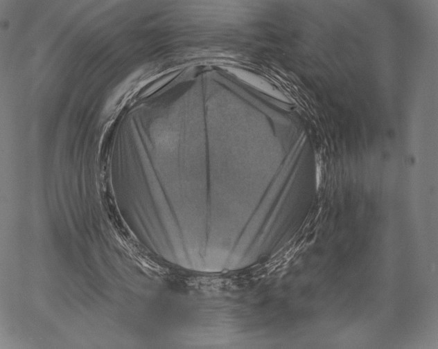 X0000066510339200604071532