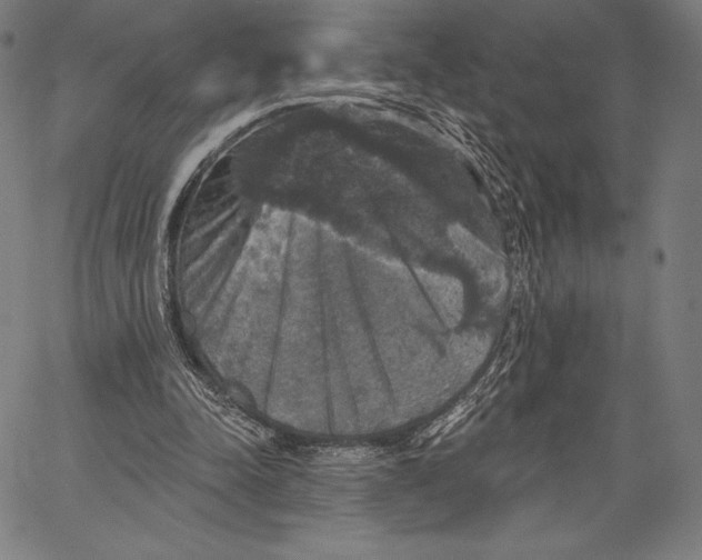X0000066510342200604071532