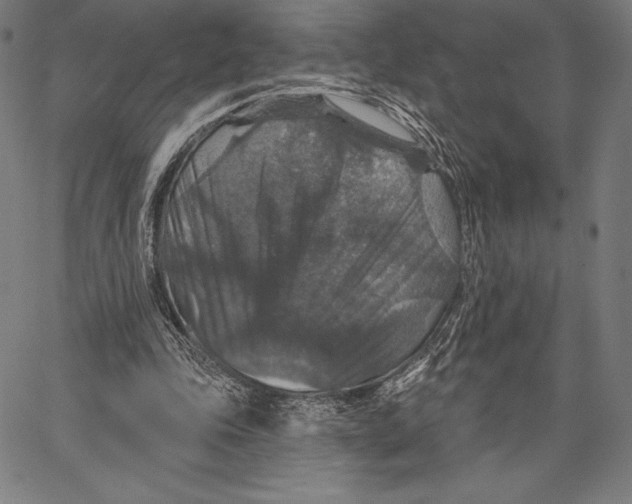 X0000066510343200604071532