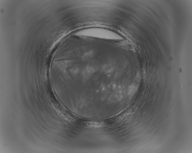 X0000066510347200604071532