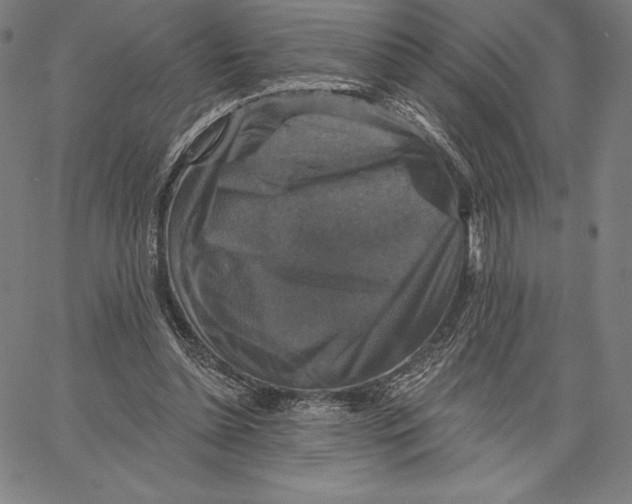 X0000066510348200604071532