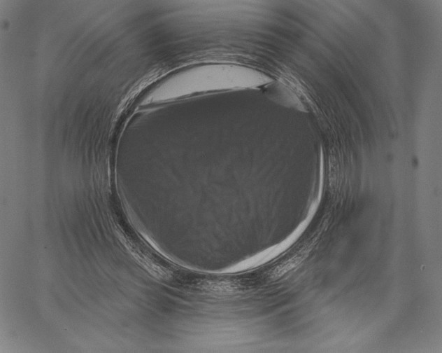 X0000066510349200604071532