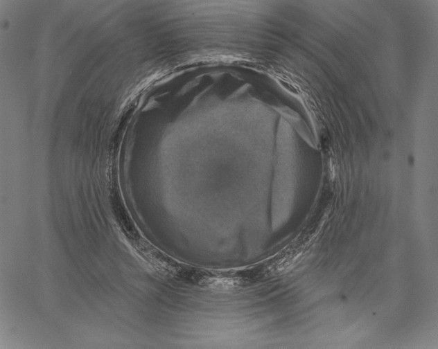 X0000066510352200604071533