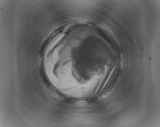 X0000066510355200604071533