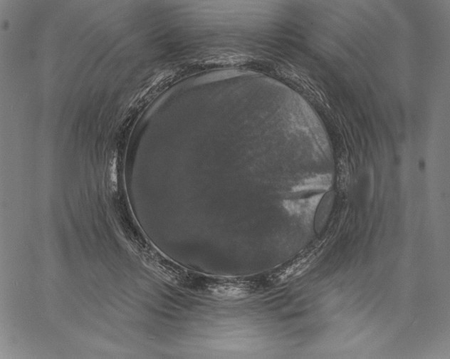 X0000066510358200604071533